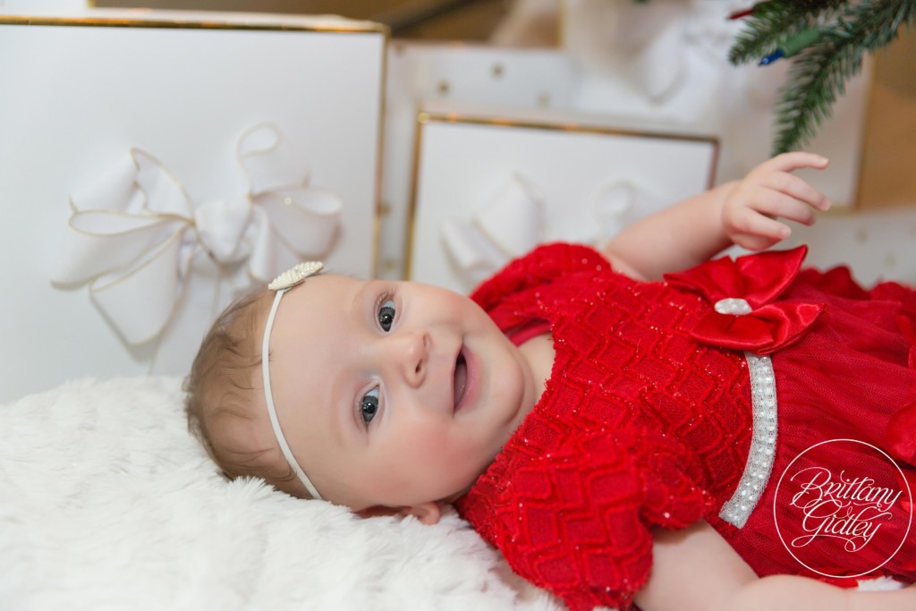 Christmas Tree Photography