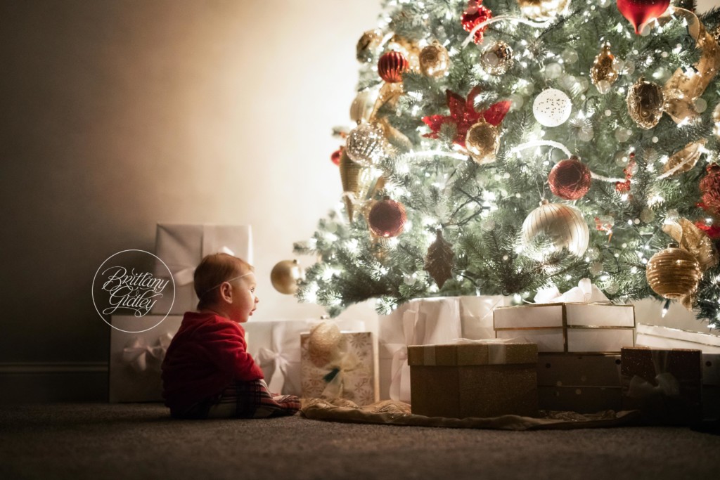 Have Yourself A Merry Little Christmas Dream Session | In Home Christmas Photo Shoot
