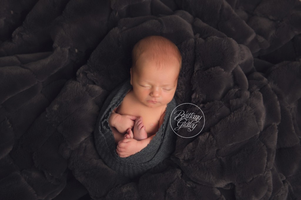 Newborn Photographer