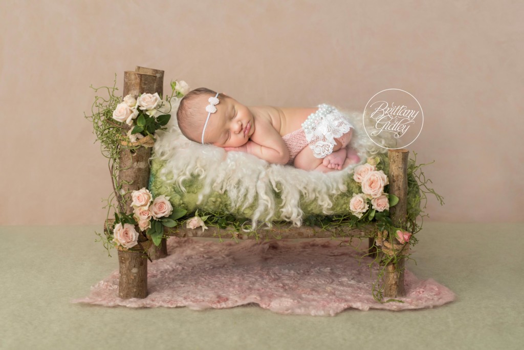 Petal Perfect Dream Session | Introducing Eleanor