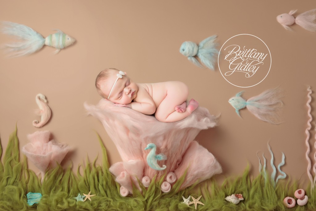 America's Best Newborn Photographer | Introducing Isabella