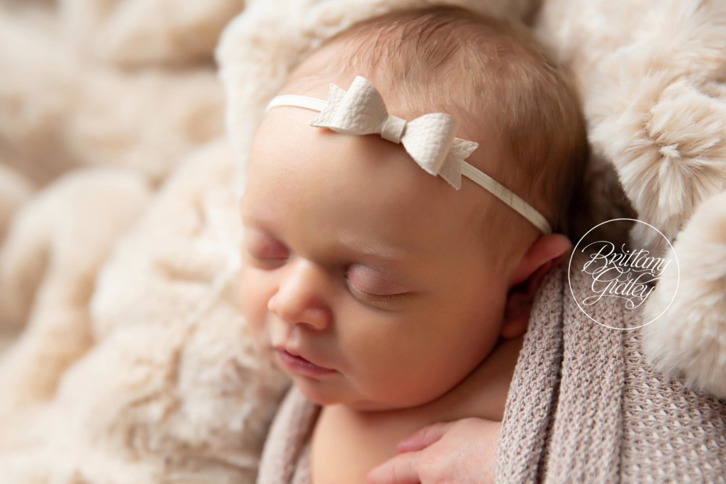 America's Best Newborn Photography