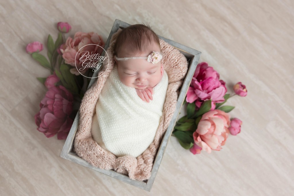 Best Akron Newborn Photography Studio | Newborn Photographer