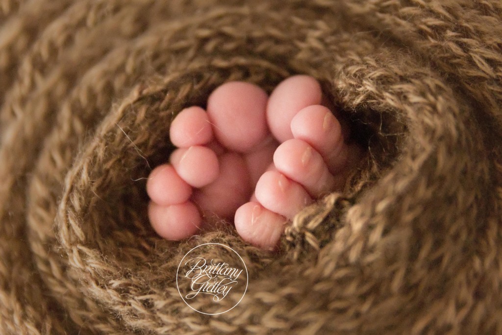 Best NICU Photography | Rainbow Babies & Children's