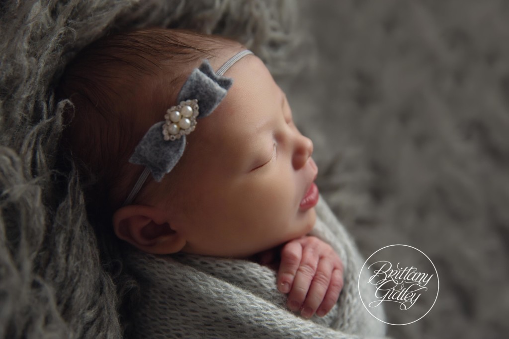 Best Newborn Photographer Cleveland Ohio