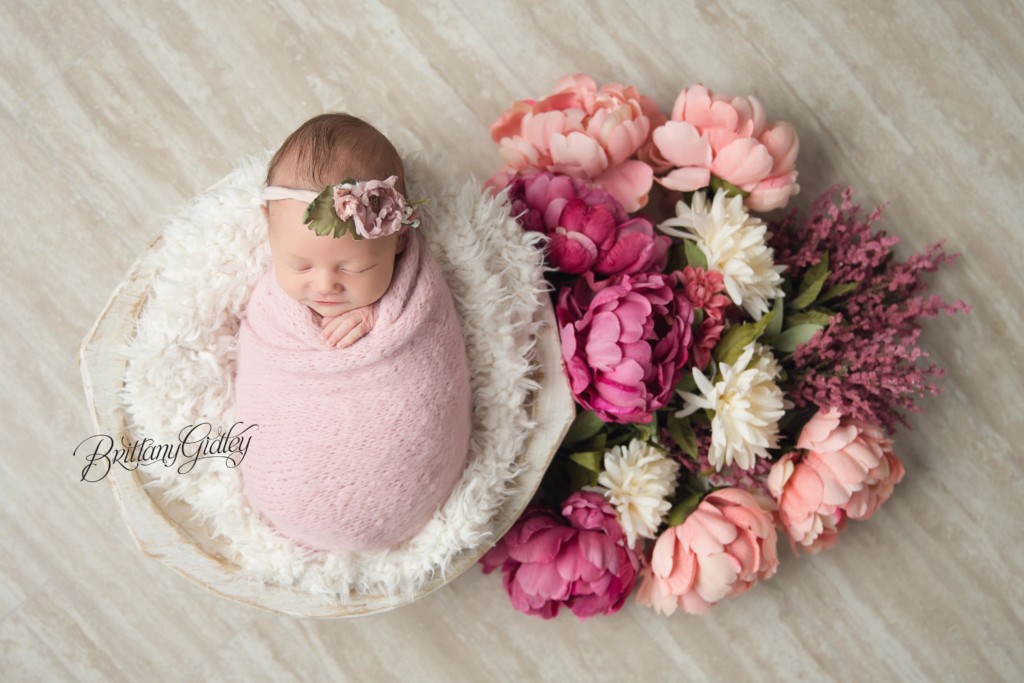 Best Newborn Photographer Cleveland Ohio