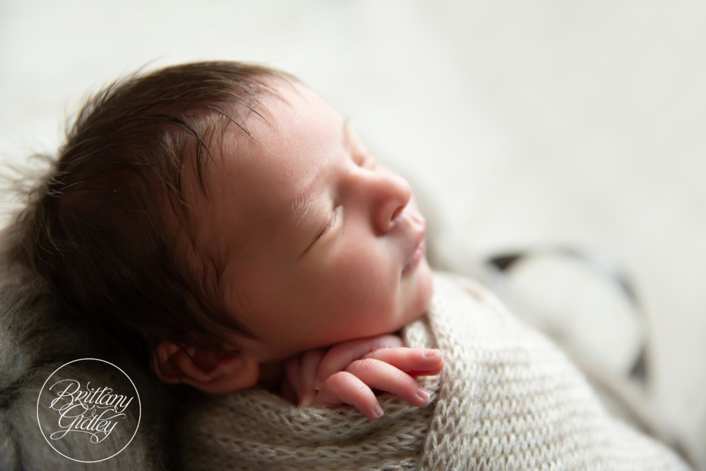 Cleveland's Best Newborn Photographer
