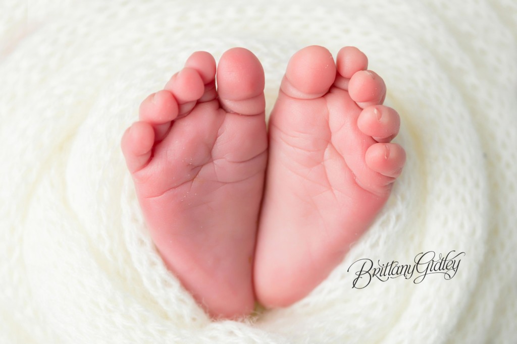 Newborn Baby Cleveland Photography Studio