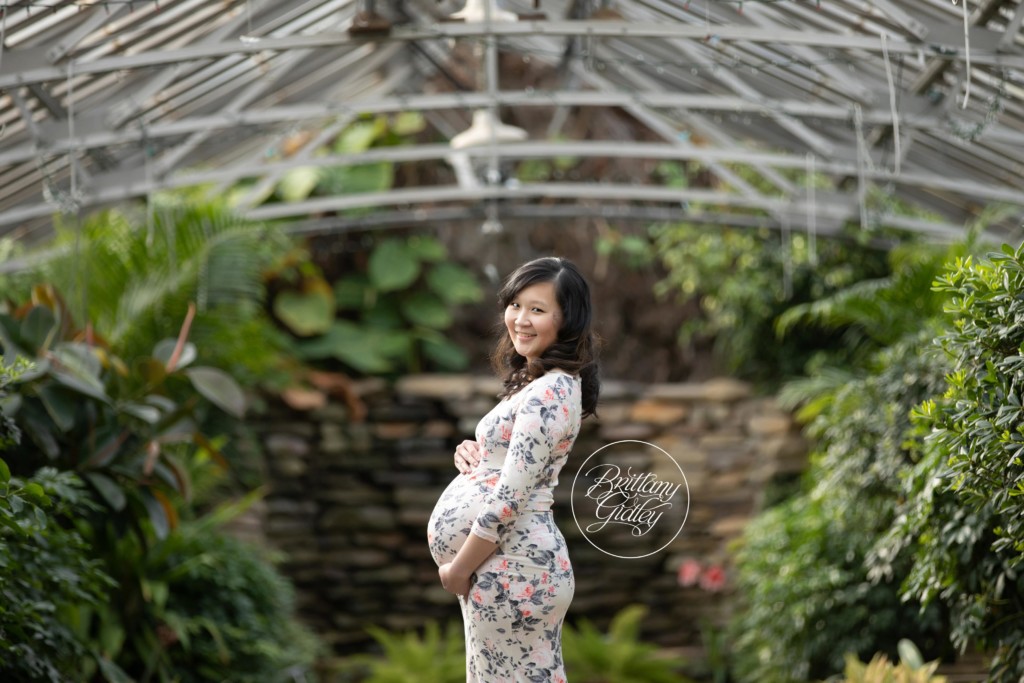 Cleveland Maternity Photographer