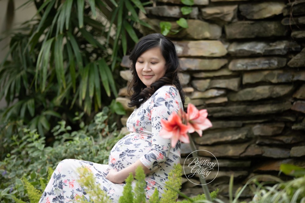 Cleveland Maternity Photographer