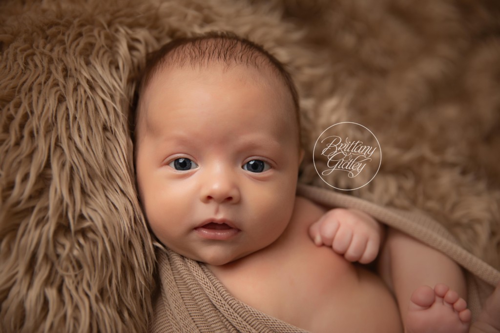 Baby Photographer | 6 Week Old Baby Posing