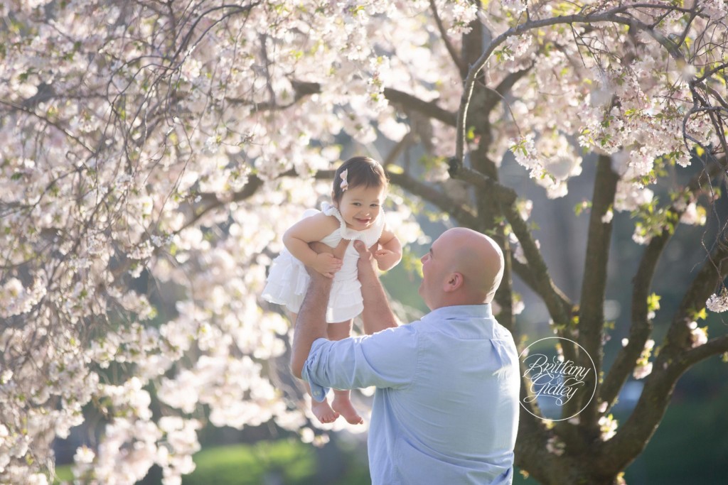 Cherry Blossom Photo Shoot Cleveland Ohio