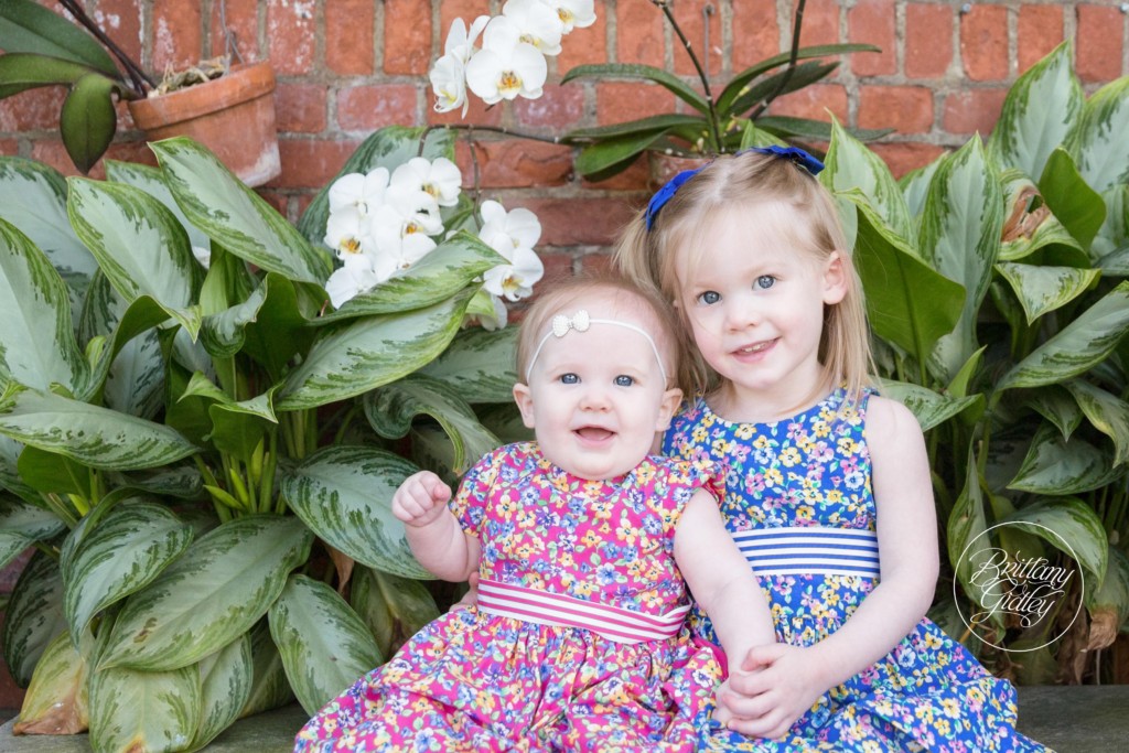 Baby Photography