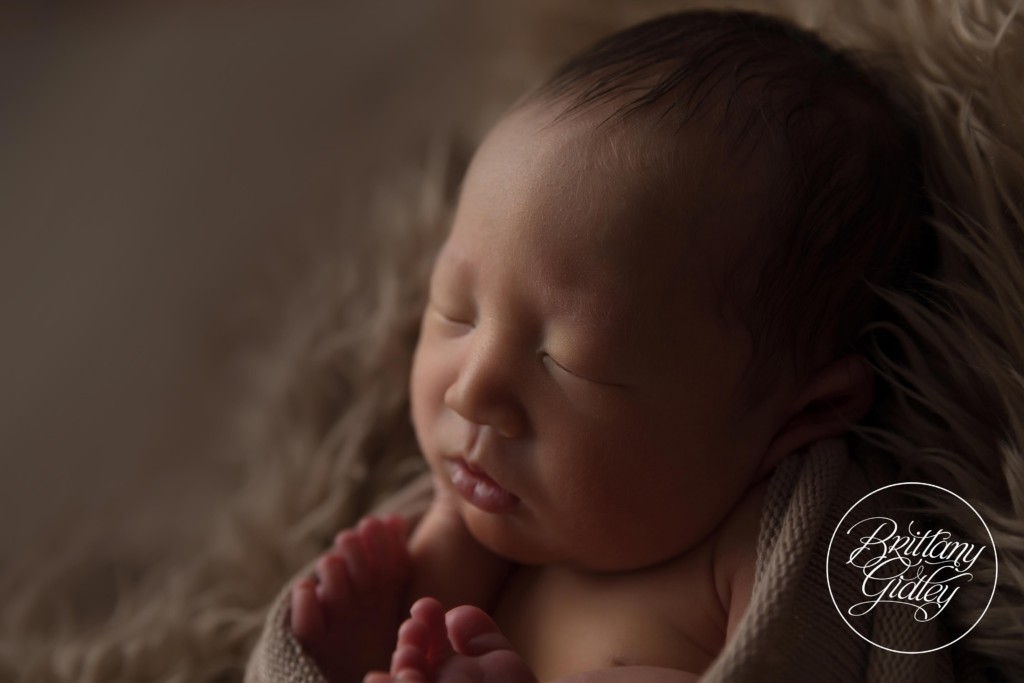 Cleveland Newborn Photography
