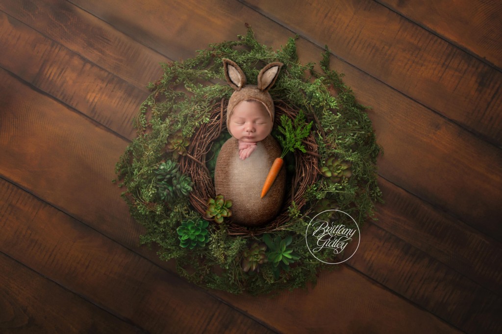 Cleveland Photography | Newborn Bunny Inspiration