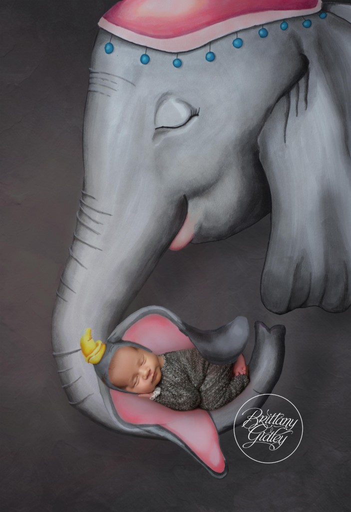 Disney Newborn Photo Shoot | Dumbo | Dumbo Newborn