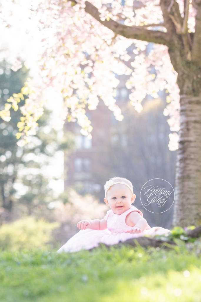 Baby Photographer