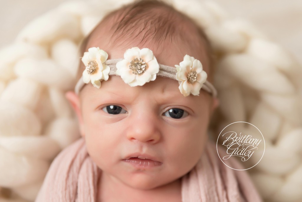 Newborn Photography Studio Cleveland