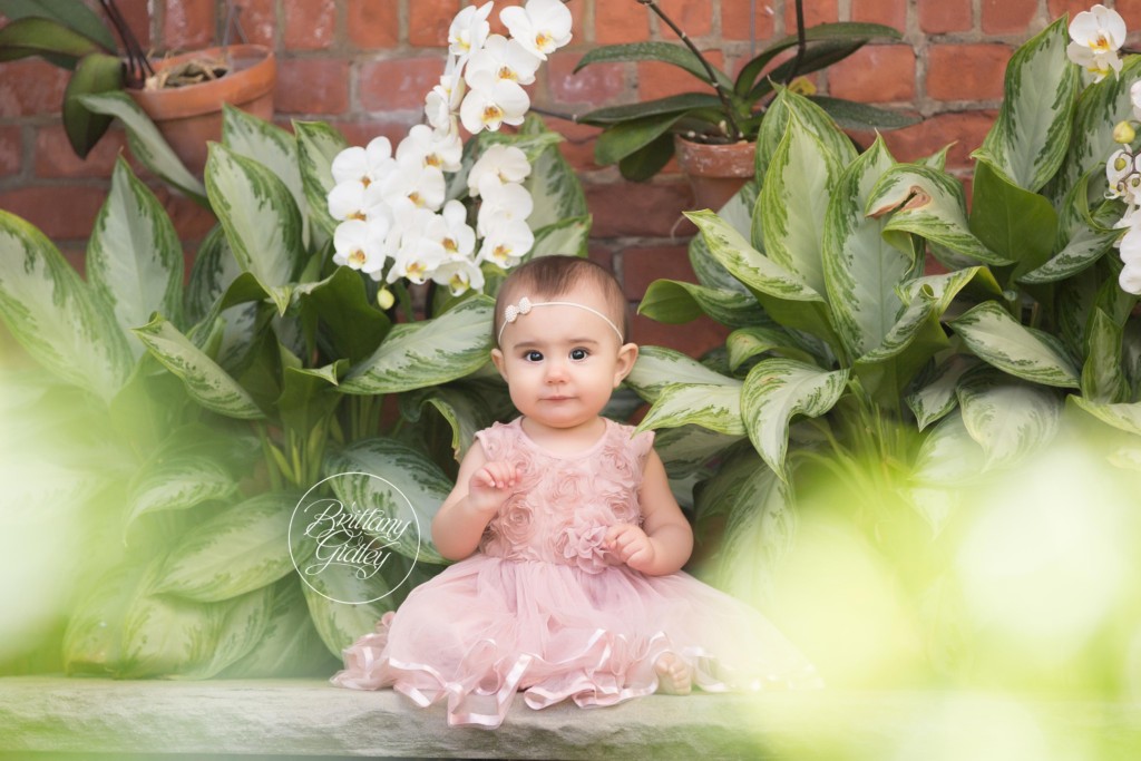 Spring Baby Photos