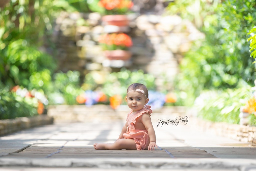 Greenhouse Baby Pictures