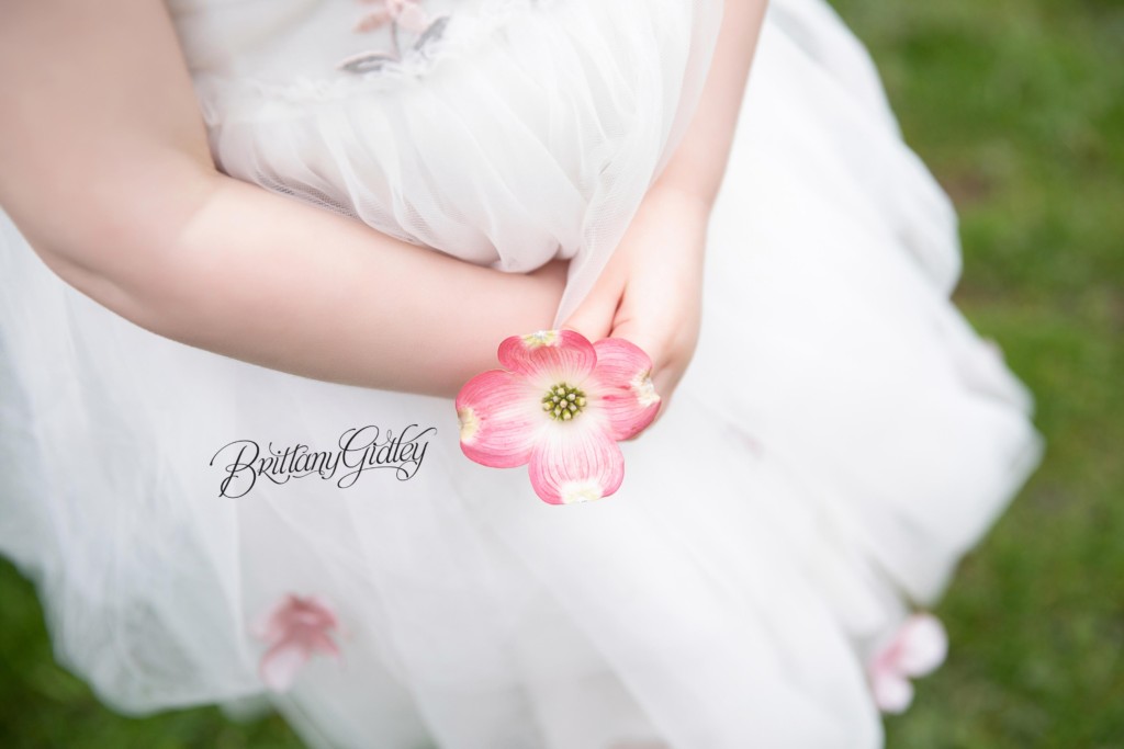 Cherry Blossom Photo Shoot