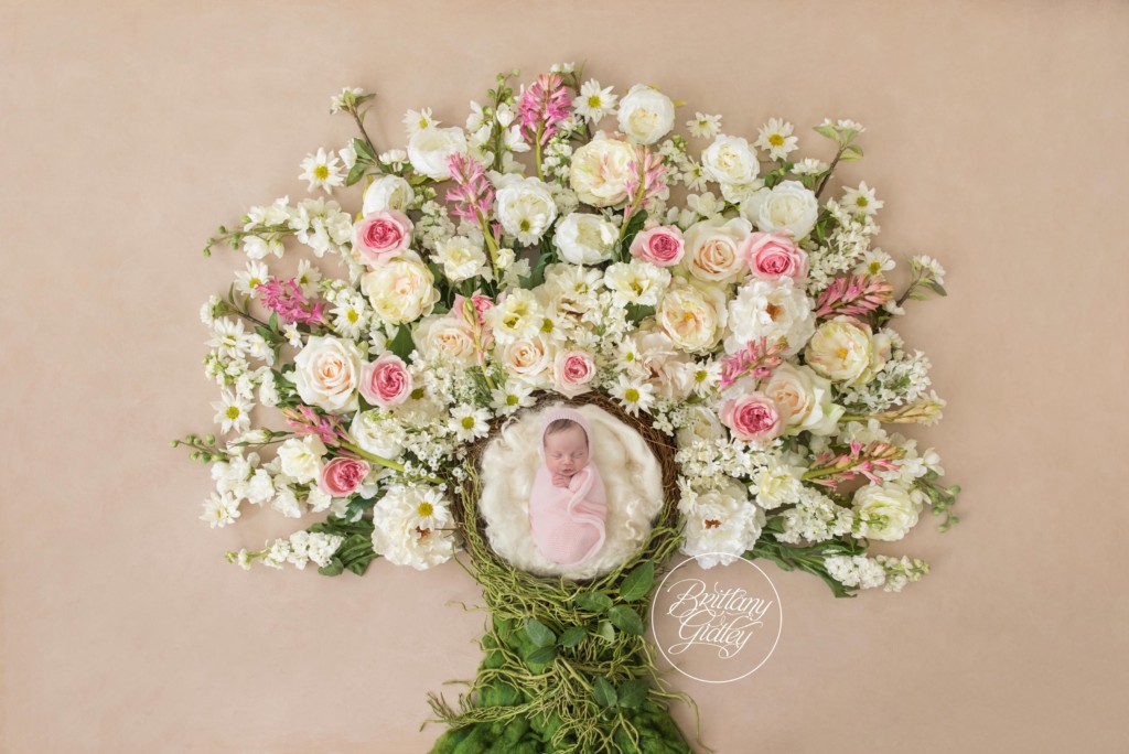 Floral Tree | Pretty In Pink Newborn Dream Session | Introducing Lillian