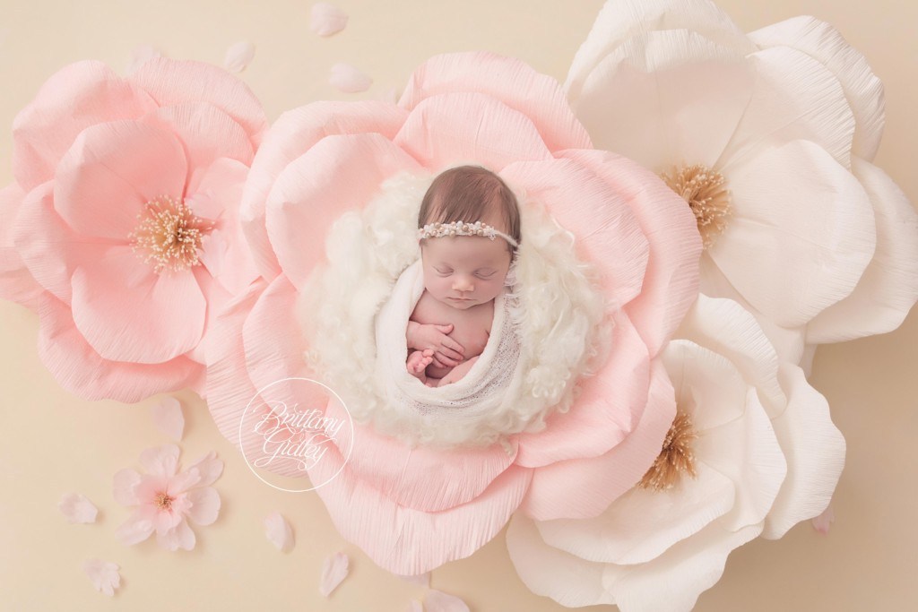 Pretty In Pink Newborn Dream Session | Introducing Lillian