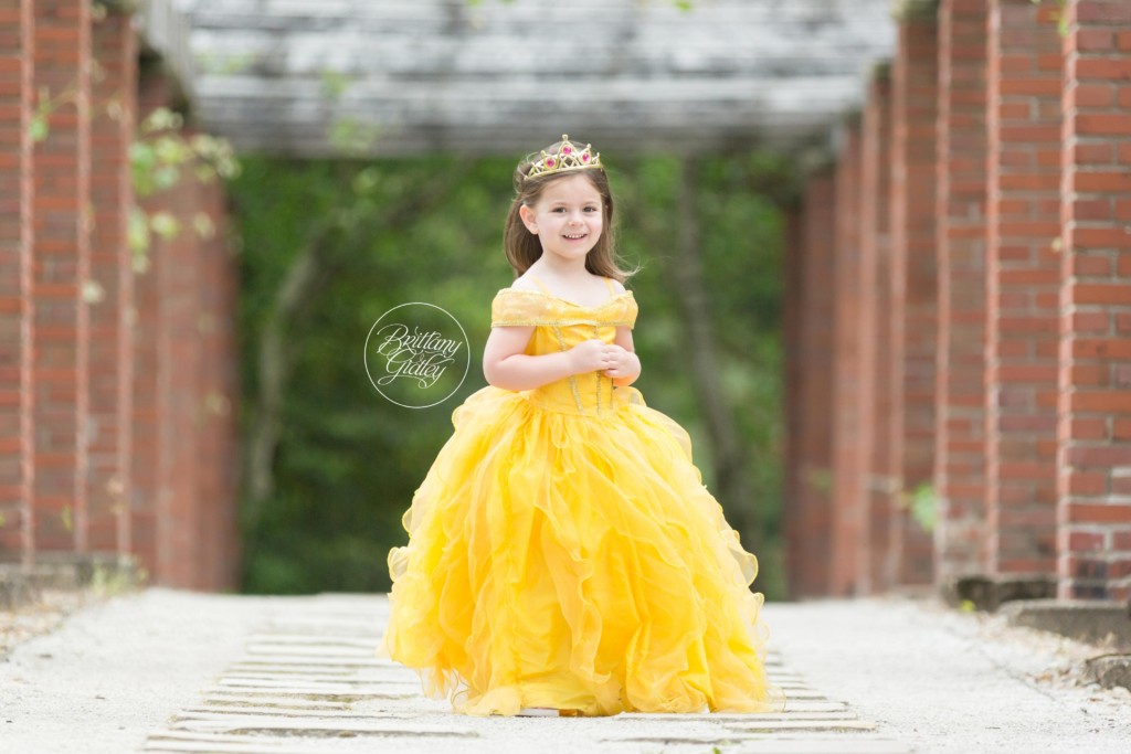 Birthday Party Disney Princess Theme