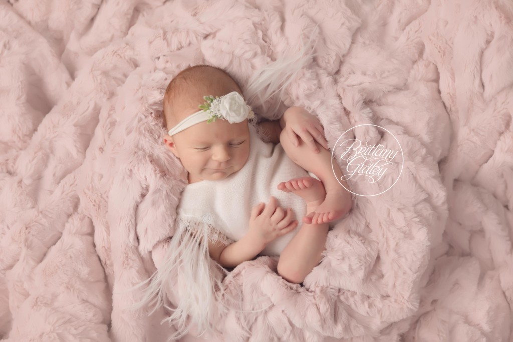 Bay Village Ohio Newborn Photographer | Introducing Audrey