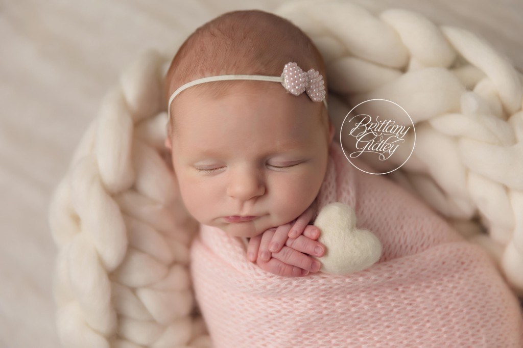 Bay-Village-Ohio-Newborn-Photographer