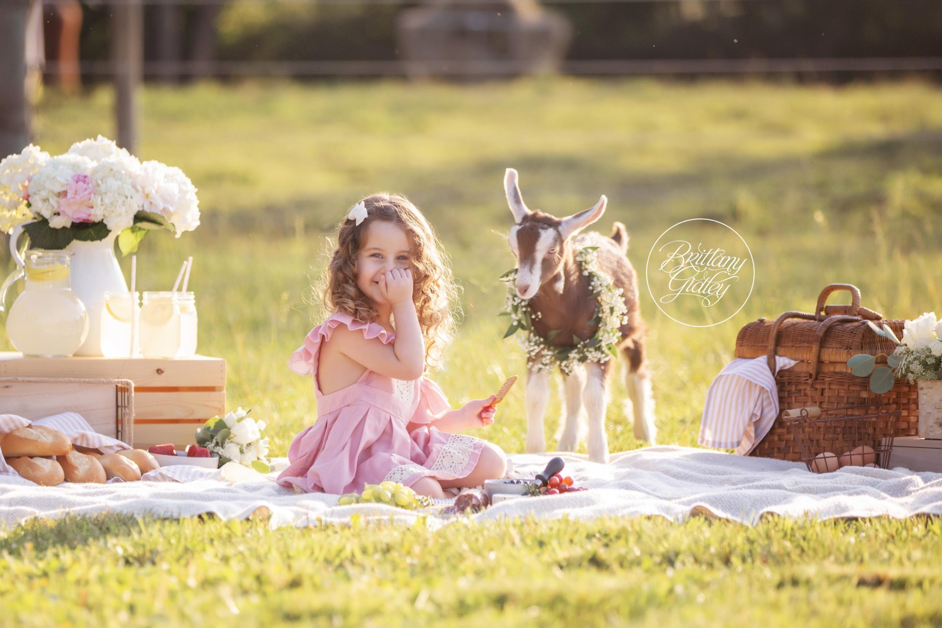 Farm Dream Session | Baby Animal Photo Shoot