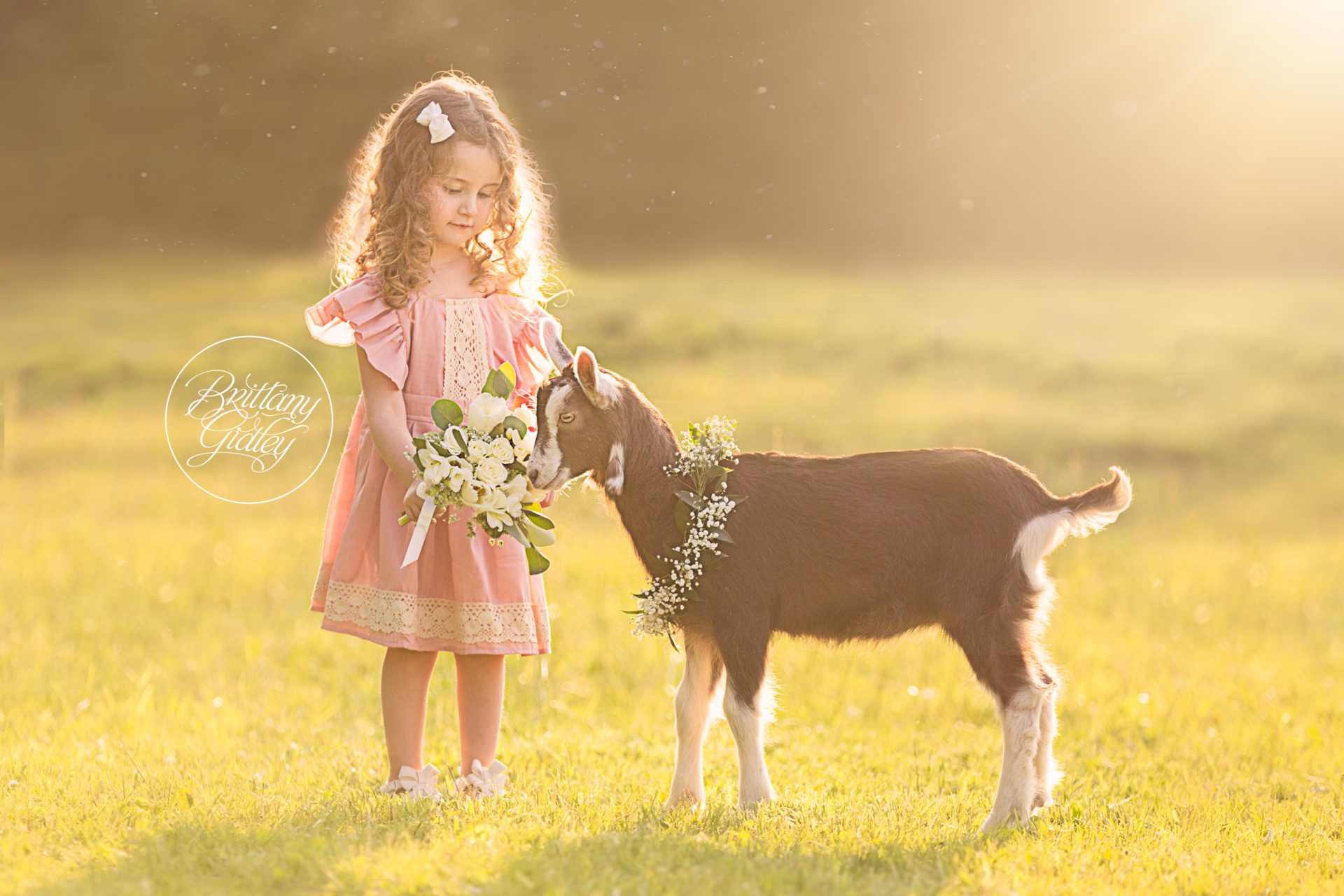 Farm Friends Dream Session | Baby Animal Photo Shoot