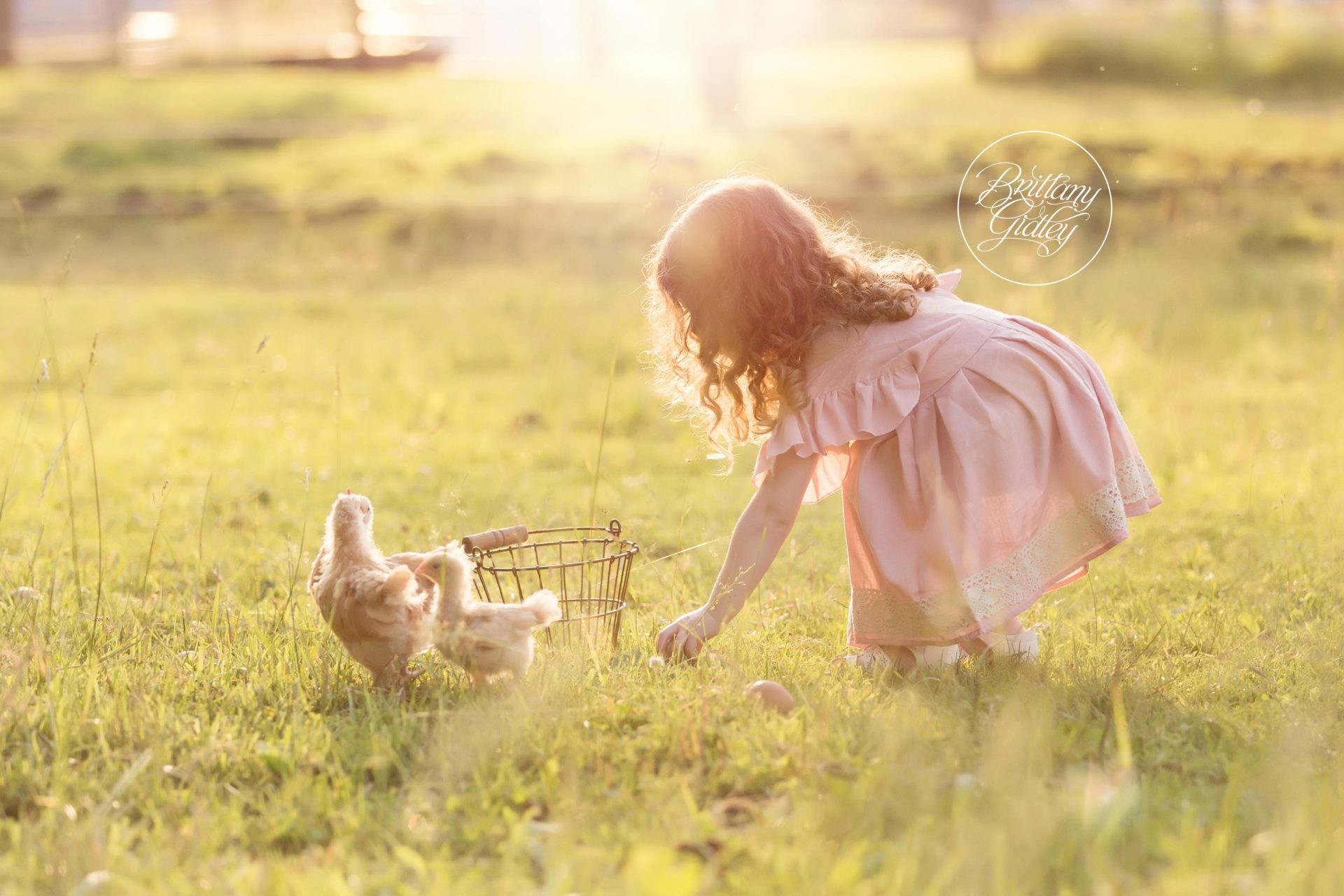 Farm Dream Session | Baby Animal Photo Shoot