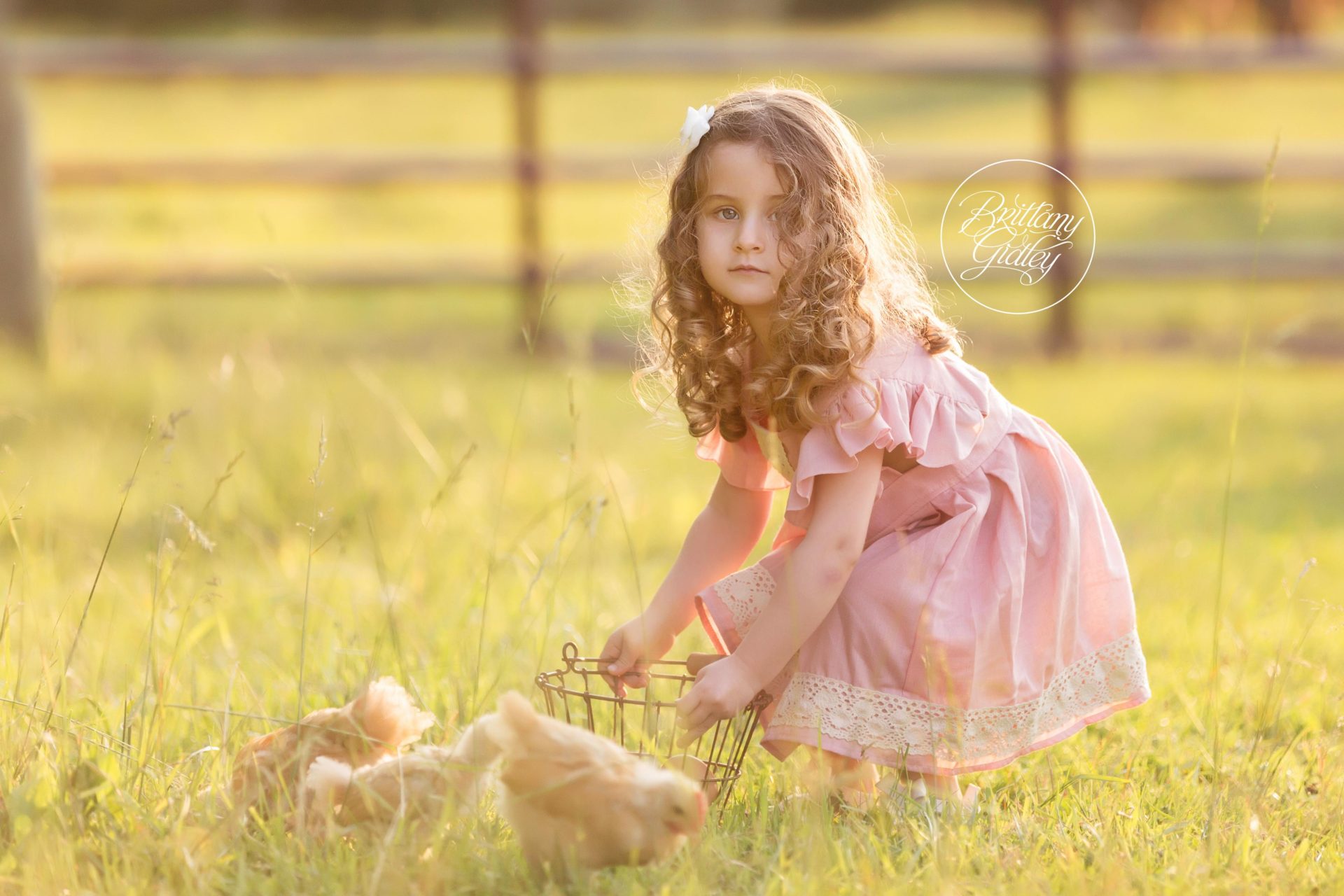Farm Friends Dream Session | Baby Animal Photo Shoot