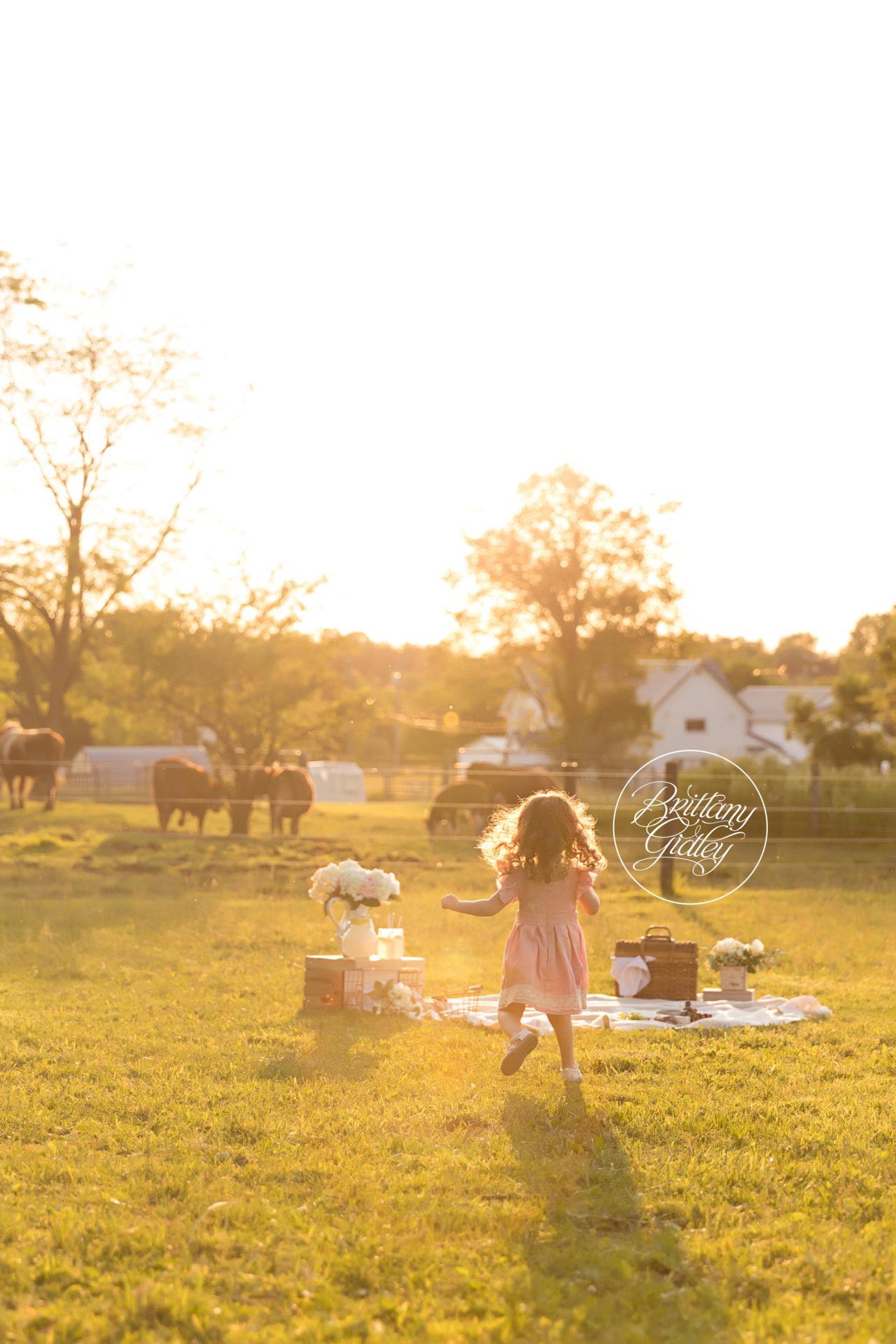 Farm Dream Session | Baby Animal Photo Shoot
