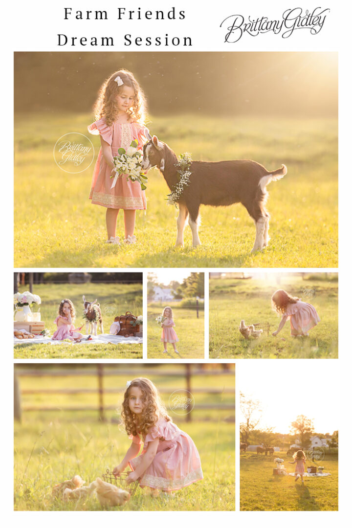 Farm Dream Session Photo Shoot
