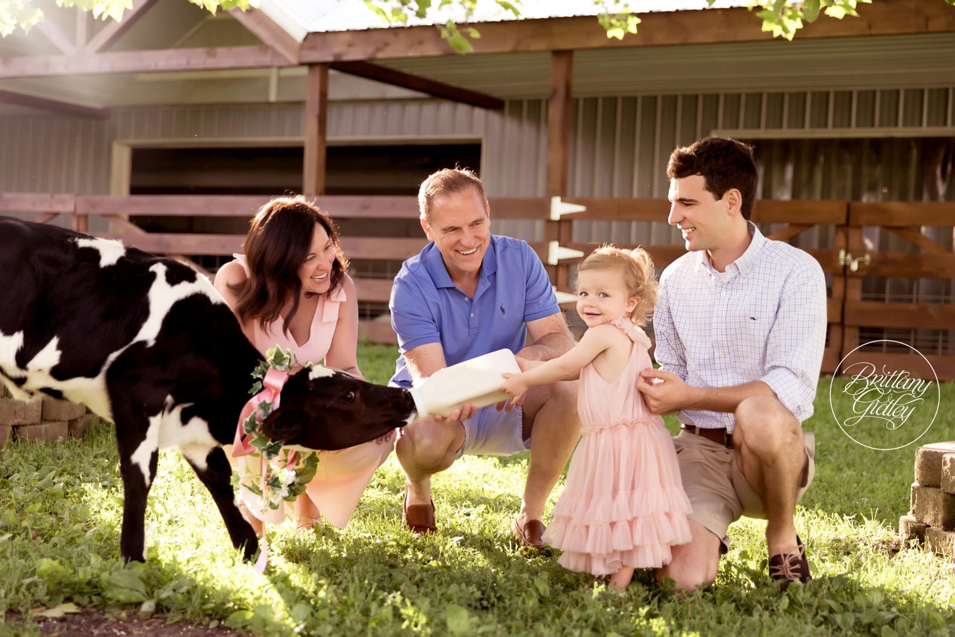 Baby Cow Photo Shoot | Farm Photo Shoot | The Cann Family