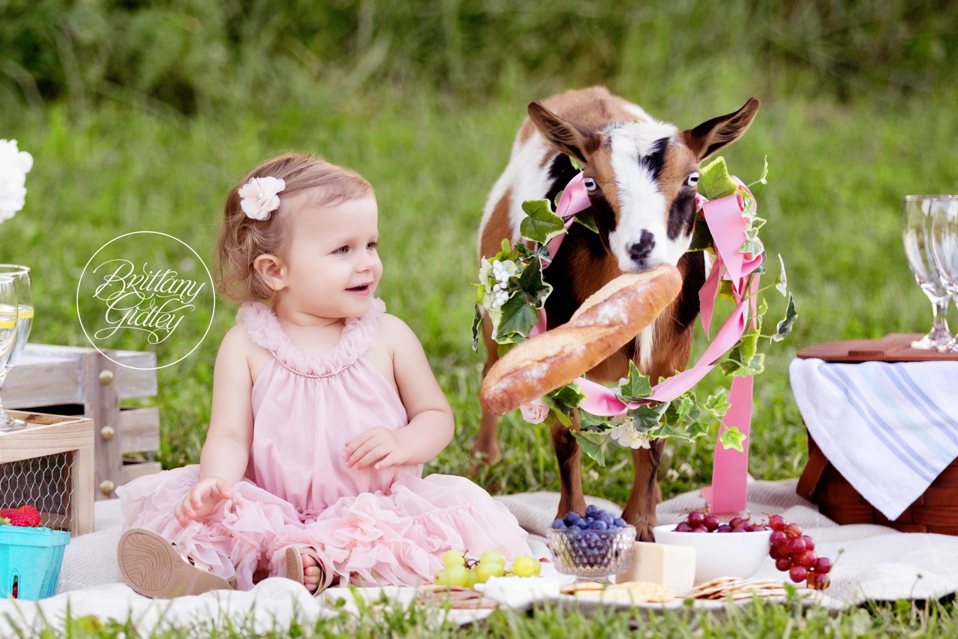 Goat Picnic Photo Shoot