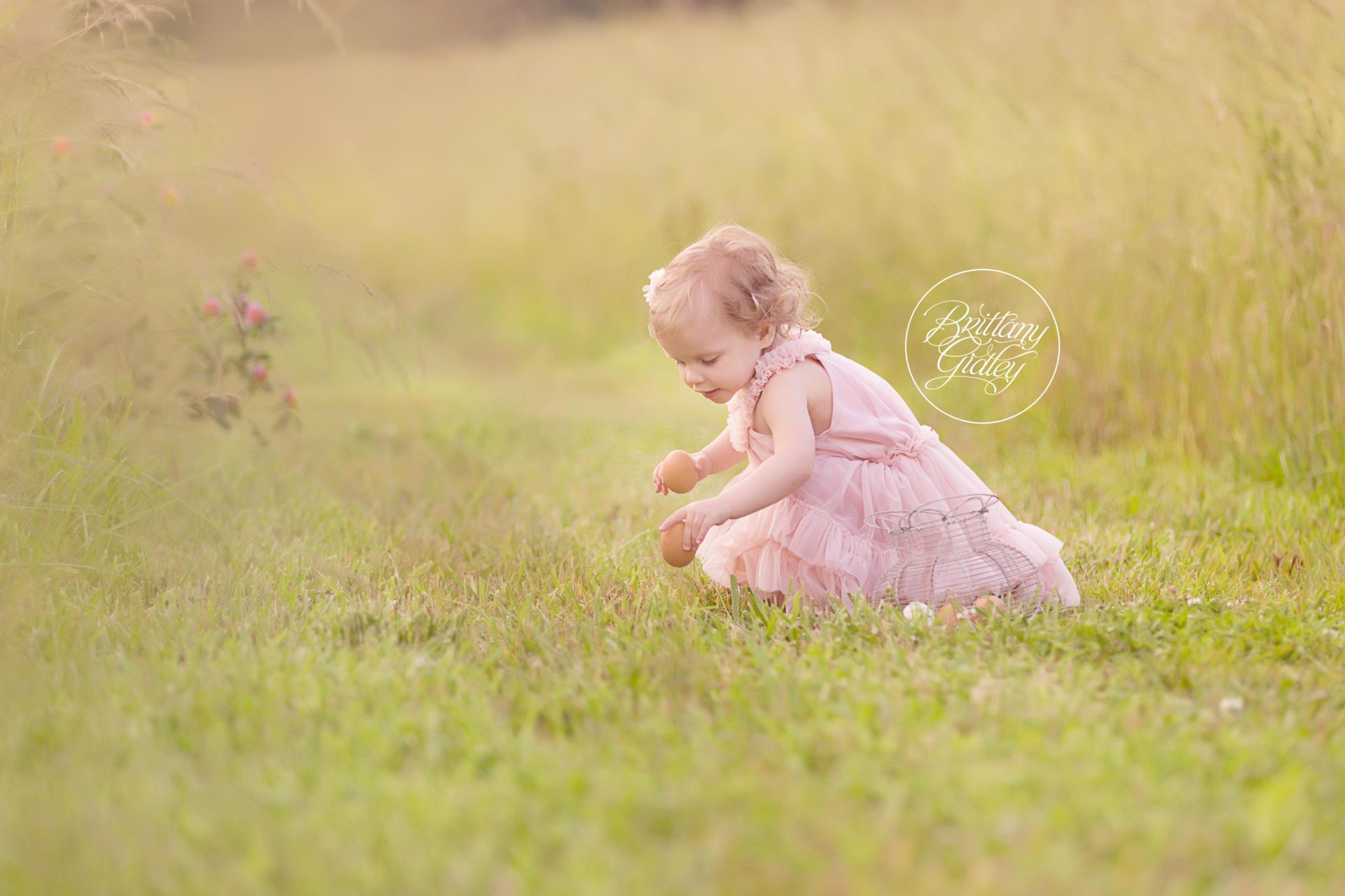 Chicken Photo Shoot | Farm Dream Session