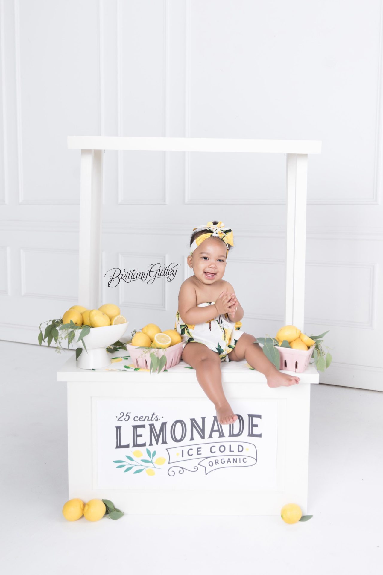 Lemonade Stand Dream Session | Photo Shoot of a Lemonade Stand