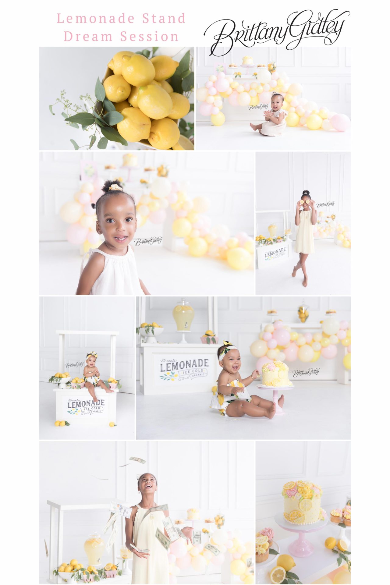 Lemonade Stand Dream Session | Photo Shoot of a Lemonade Stand