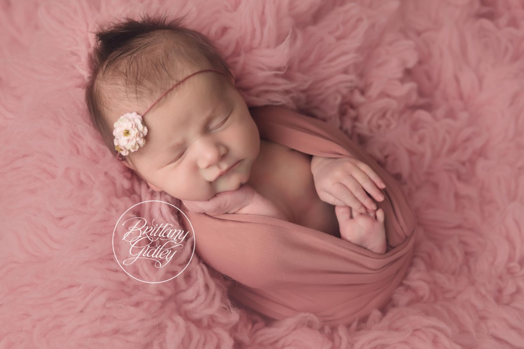 Cleveland Newborn Photographers | Newborn Photography in Cleveland Ohio