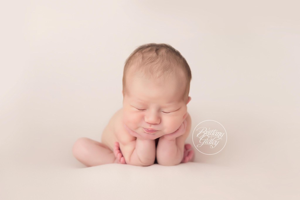 Willoughby Newborn Photographer | Introducing Nikolai