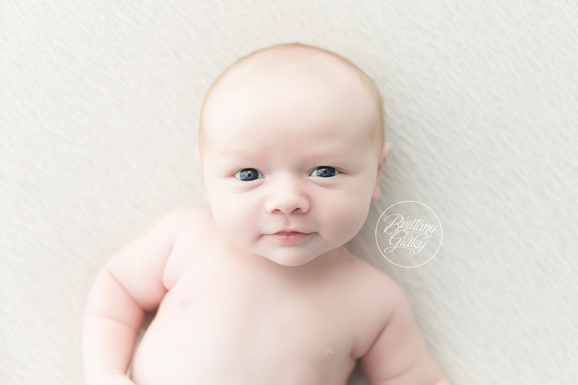 Newborn Photo Shoot | South Shores Kentucky