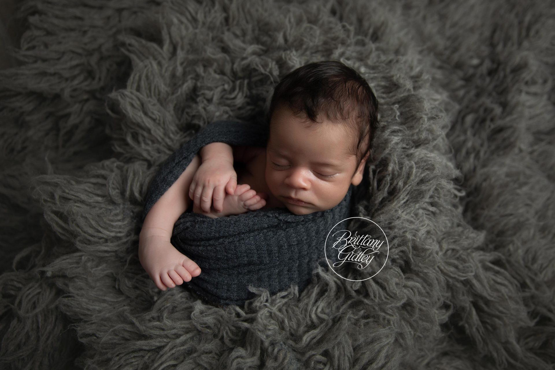 San Francisco Newborn Photographer | Introducing Gunnar