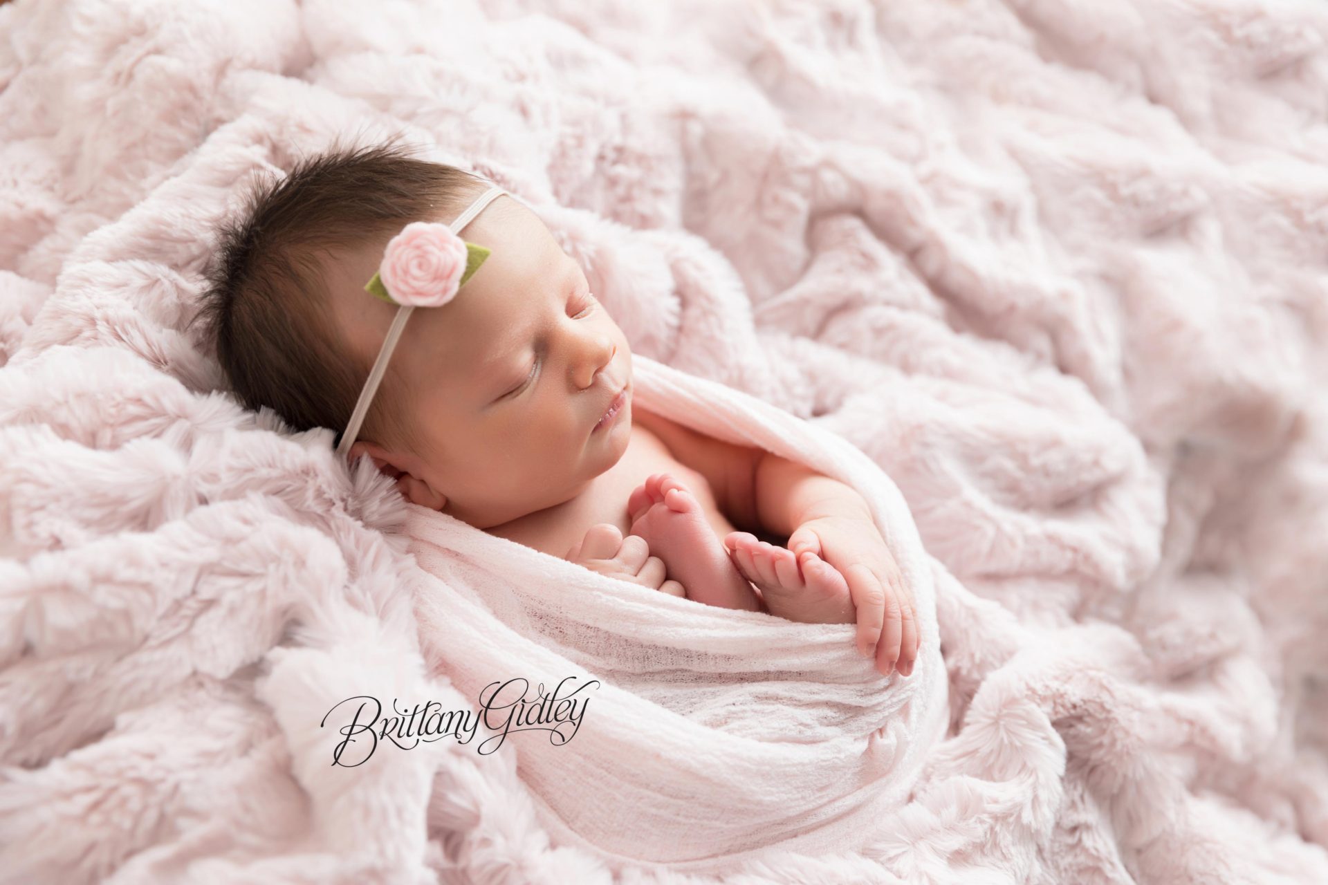 Froggy Pose | Newborn Photography Cleveland Ohio