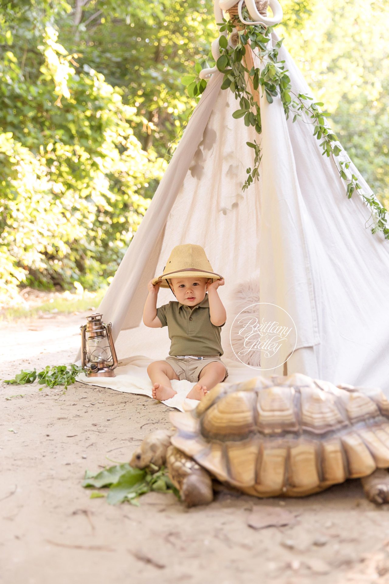 Wild One Dream Session | Felix 12 Months | Edgewater Beach