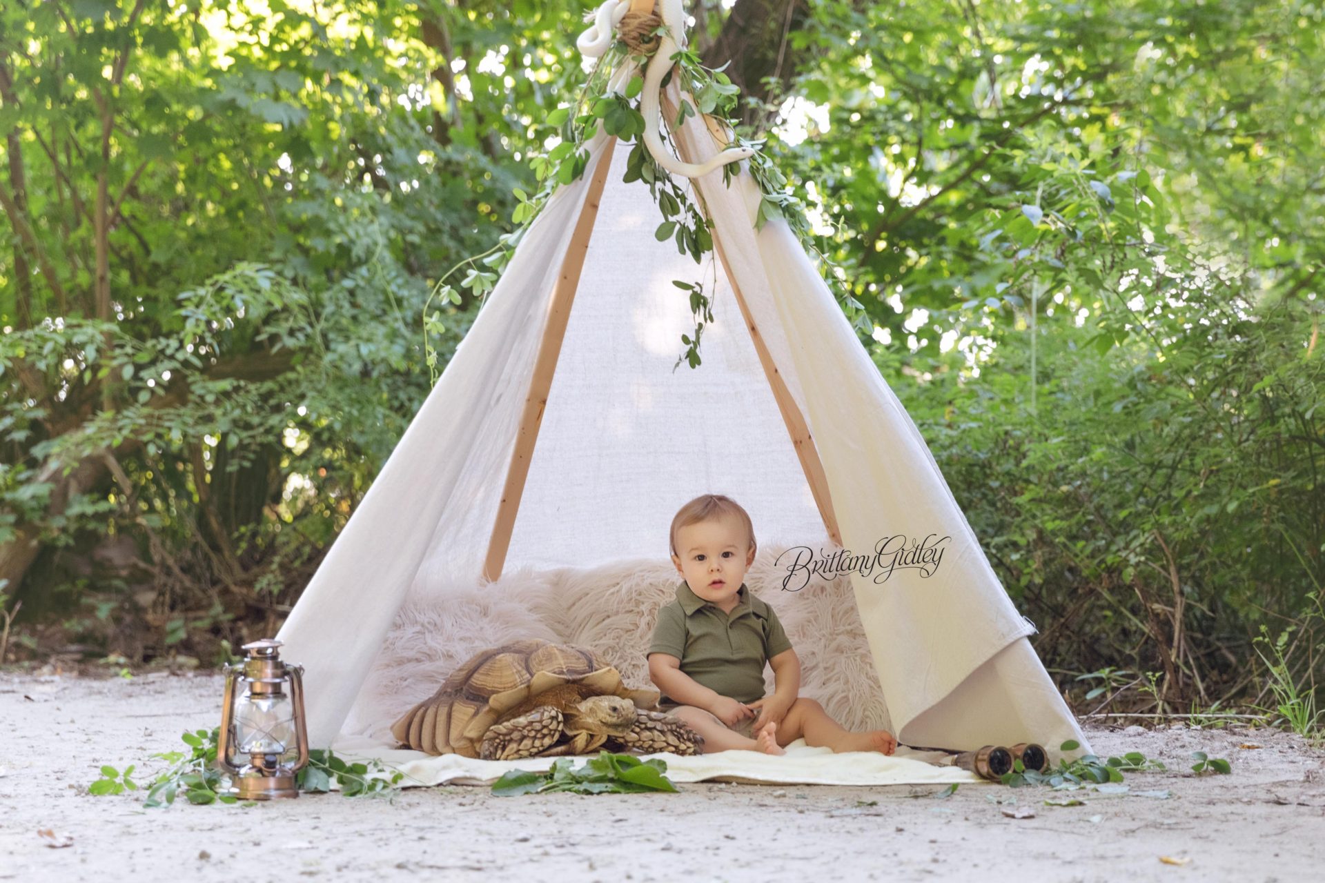 Wild One Cake Smash Photo Shoot | Jungle Themed Photo Shoot and Cake Smash Photography Session