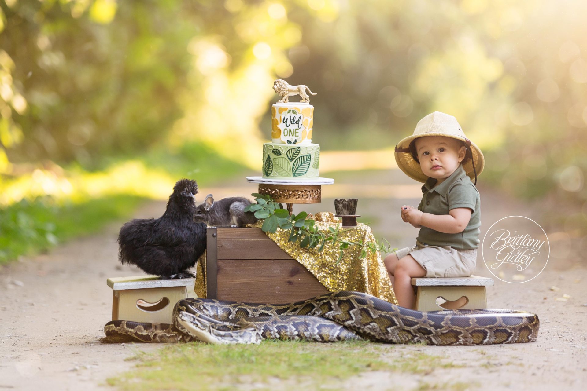 Wild One Dream Session | Felix 12 Months | Edgewater Beach