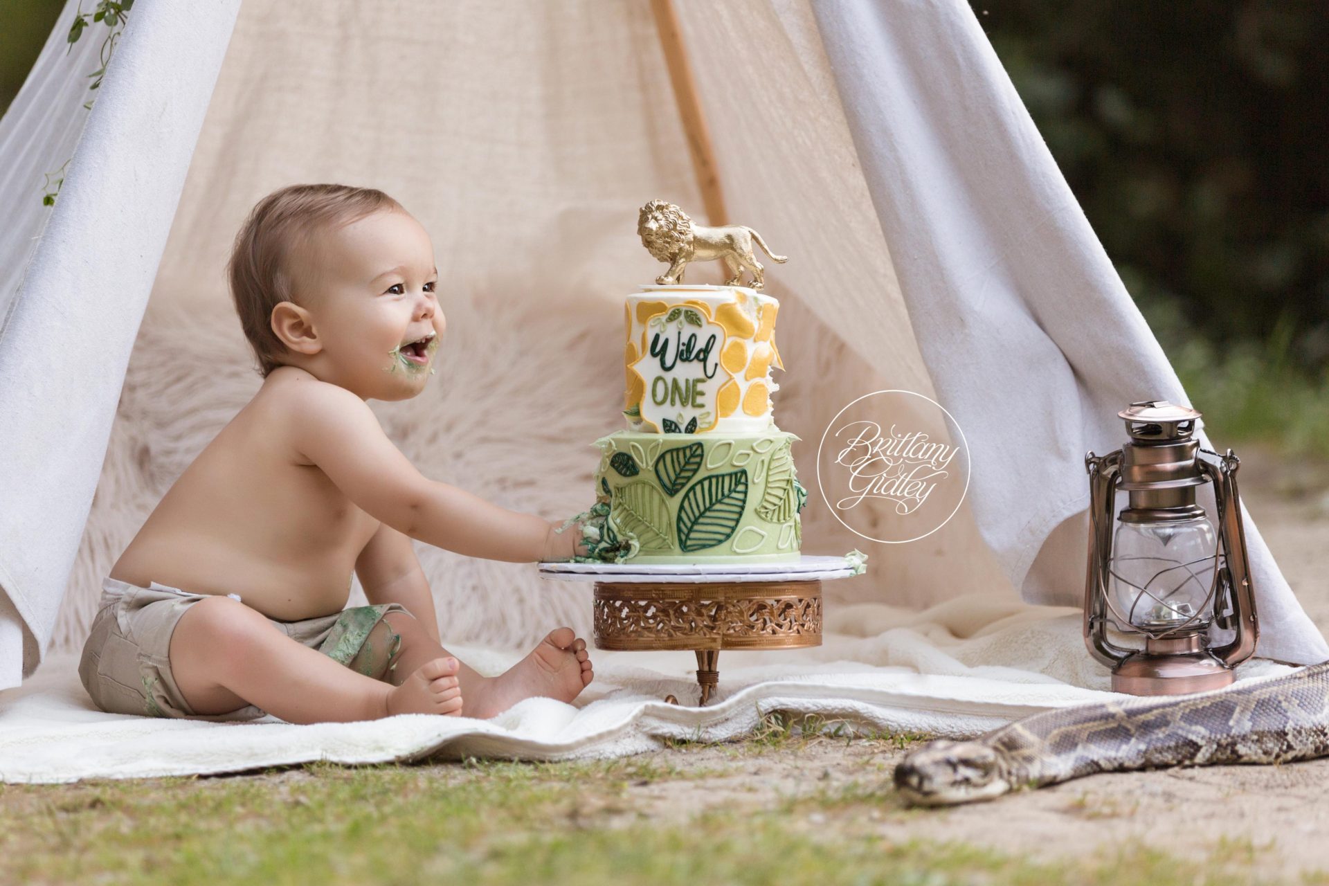 Wild One Cake Smash Photo Shoot | Jungle Themed Photo Shoot and Cake Smash Photography Session